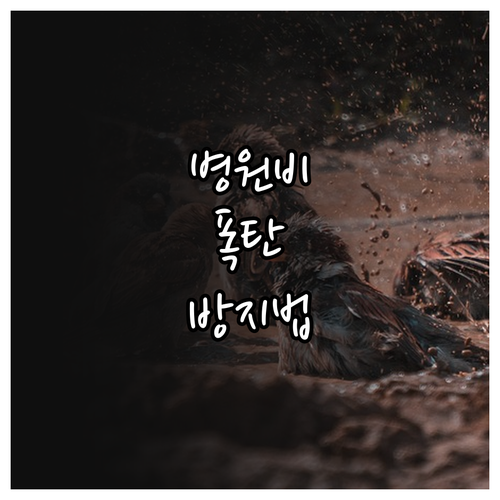 병원 비급여 진료비 관리급여 전환 및..