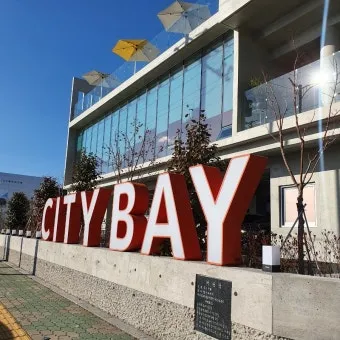 마산 해안도로 5월의 꽃 다정큼나무 산딸나무 해당화_19
