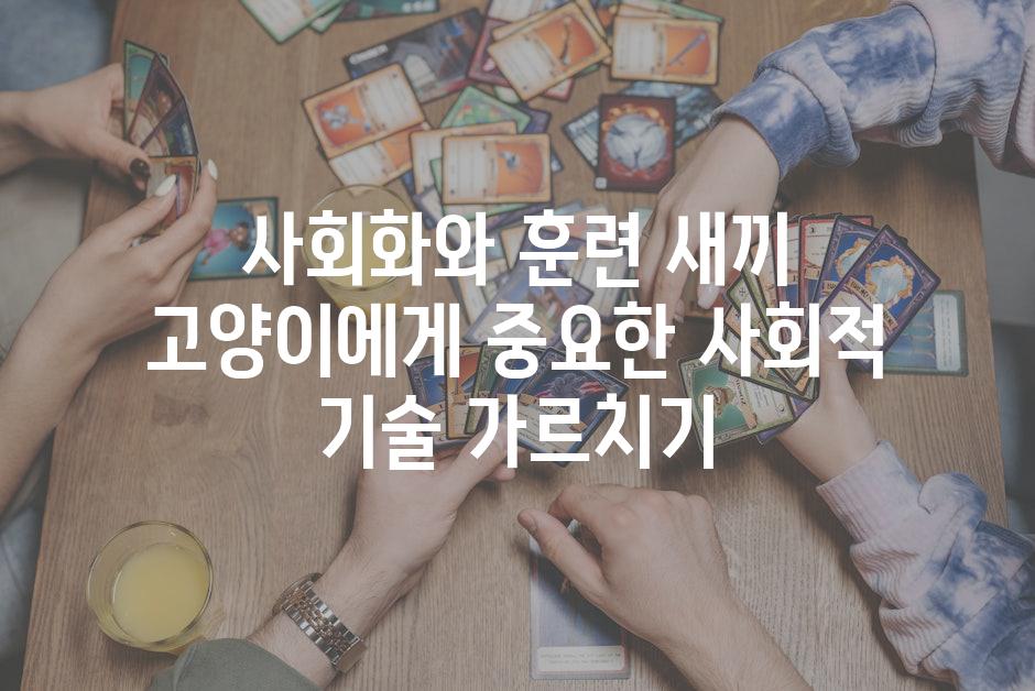 사회화와 훈련 새끼 고양이에게 중요한 사회적 기술 가르치기