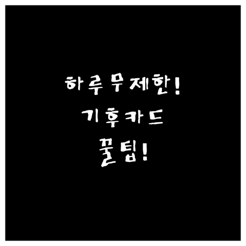 기후동행카드 하루 이용 횟수 제한 없..