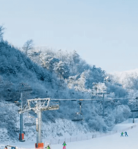 스키장 개장일정