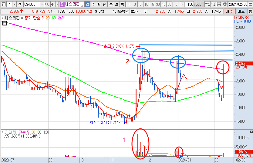 네오리진 일봉 차트 분석 (24.2.8)