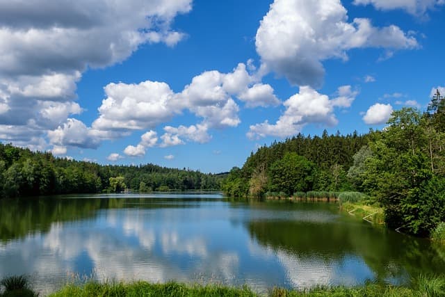 일상 속 자연의 소리 활용법 (숲, 바람, 물소리 등)