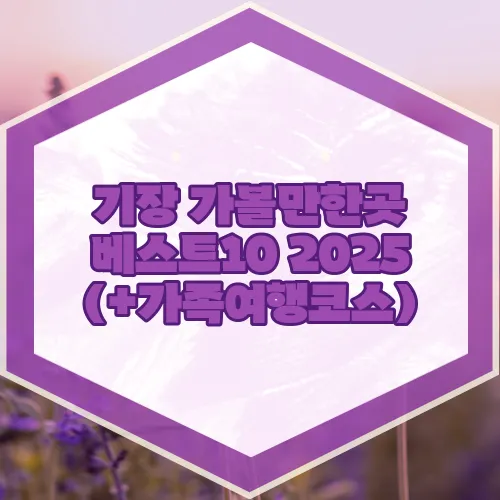 기장 가볼만한곳 베스트10 2025 (+가족여행코스)