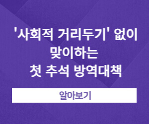 '사회적 거리두기' 없이 맞이하는 첫 추석 방역대책