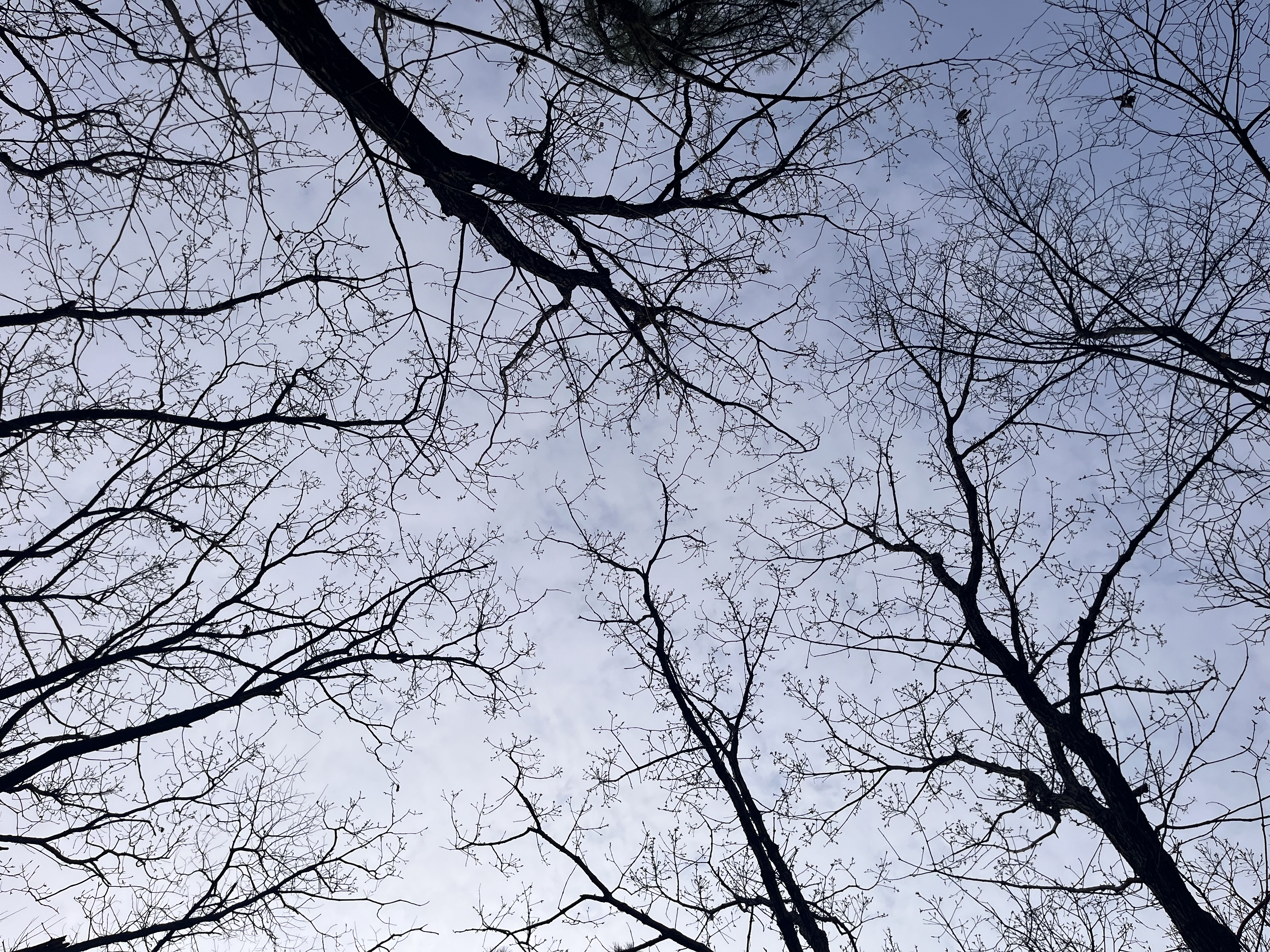 하늘을 자주 보게 되는 사람의 변화