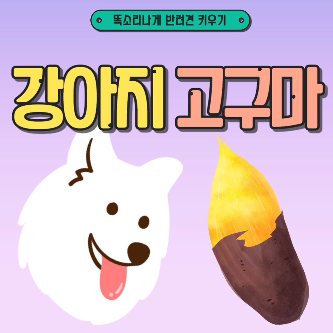 강아지 고구마 급여량 주의사항