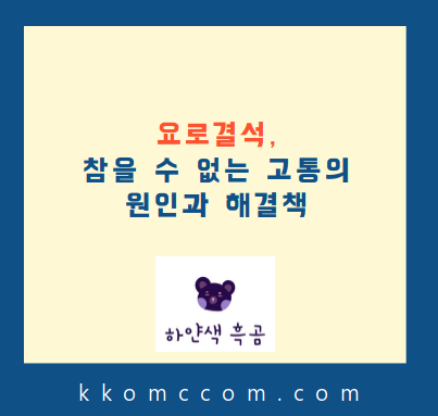 요로결석 블로그 썸네일