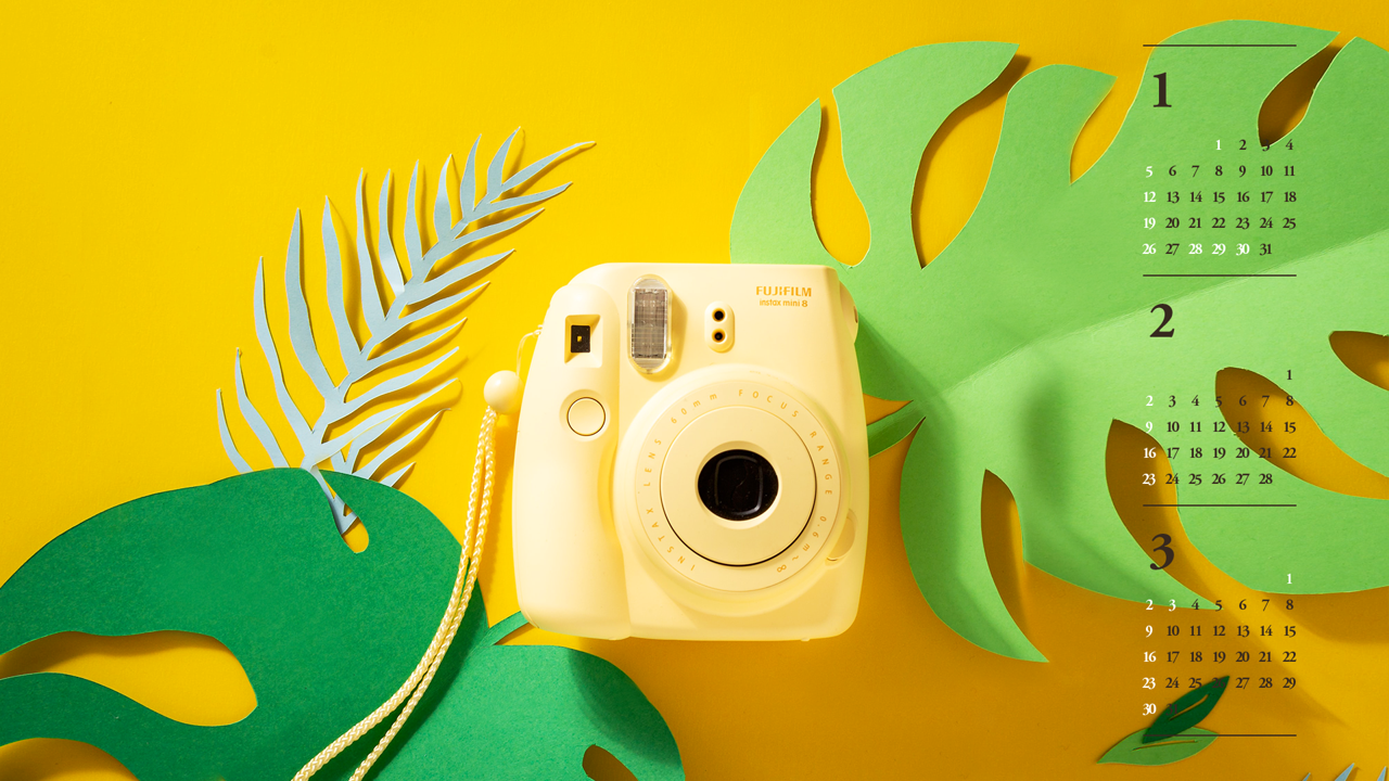 11 즉석 카메라 B - 2025년2월 노트북배경화면