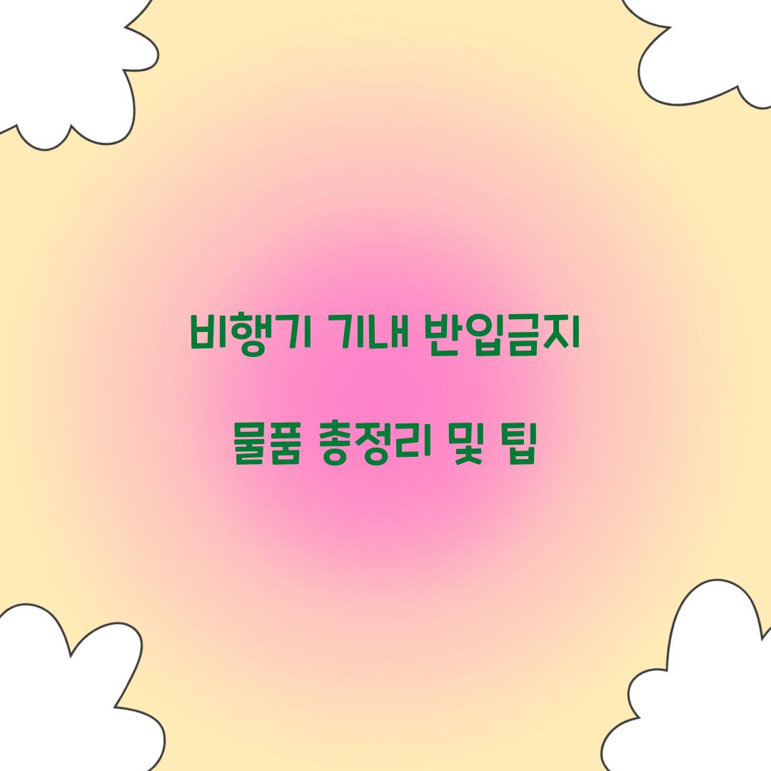 비행기 기내 반입금지