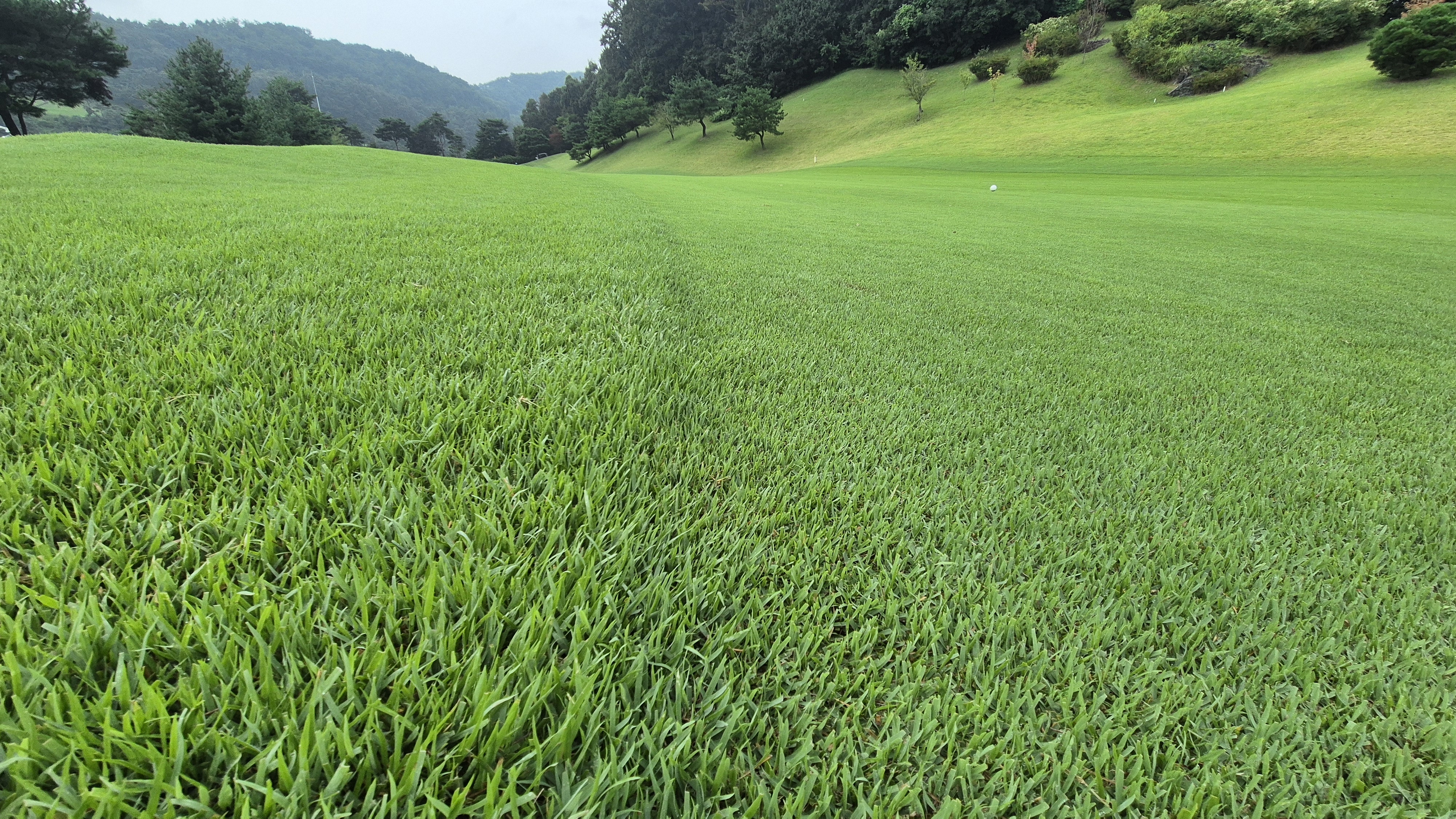 골프존카운티 진천