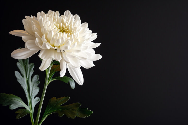 무안 제주항공 여객기 참사 희생자들과 유족들을 위한 기도문