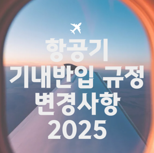 2025 항공기내반입 규정 변경사항