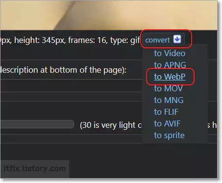 gif를 webp로 변환