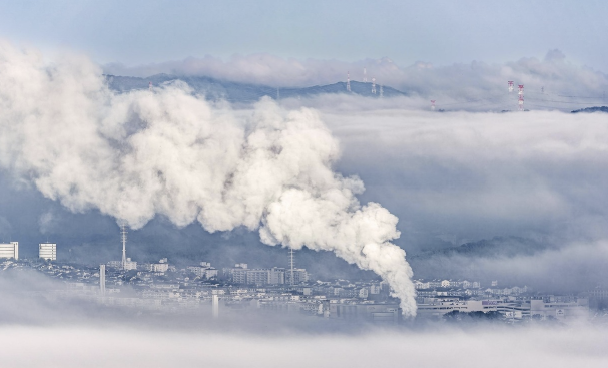 기후 변화 대응과 녹색 경제로의 전환: 우리의 미래를 위한 발걸음