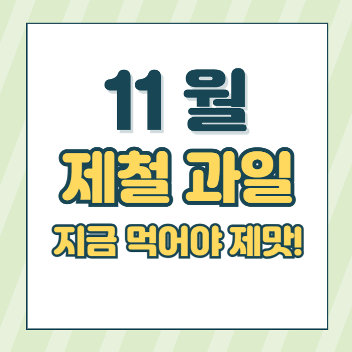 11월 제철 과일