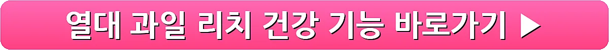 열대 과일 리치 건강 기능_11
