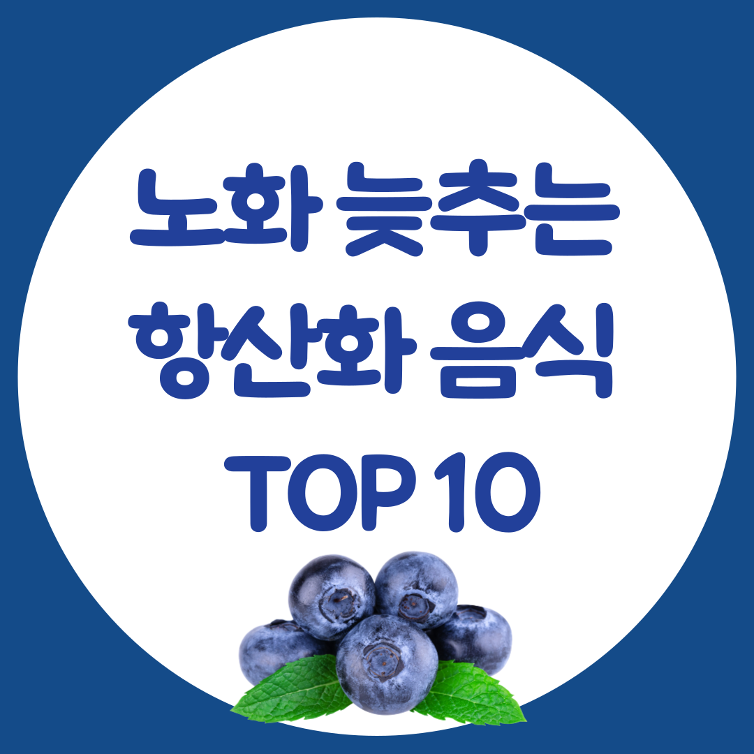 노화 늦추는 항산화 식품 BEST 10, 매일 먹기 쉬운 식재료