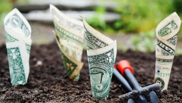 청년도약계좌 중도해지 불이익