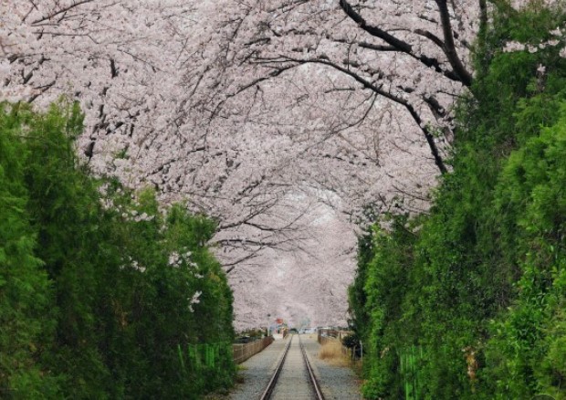 경화역 공원(2)