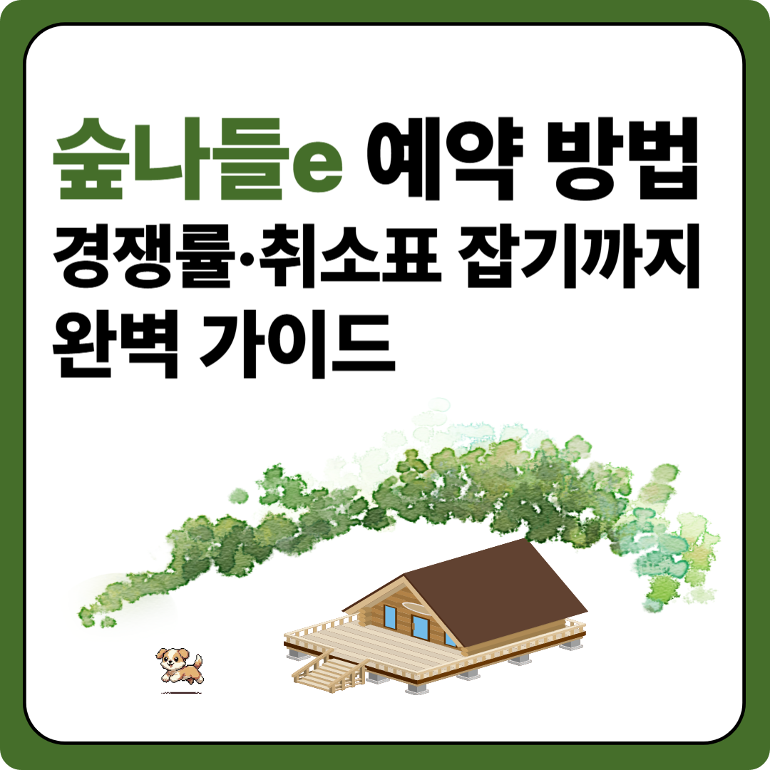 숲나들e 예약 방법&middot;경쟁률&middot;취소표 잡기까지 완벽 가이드 이미지
