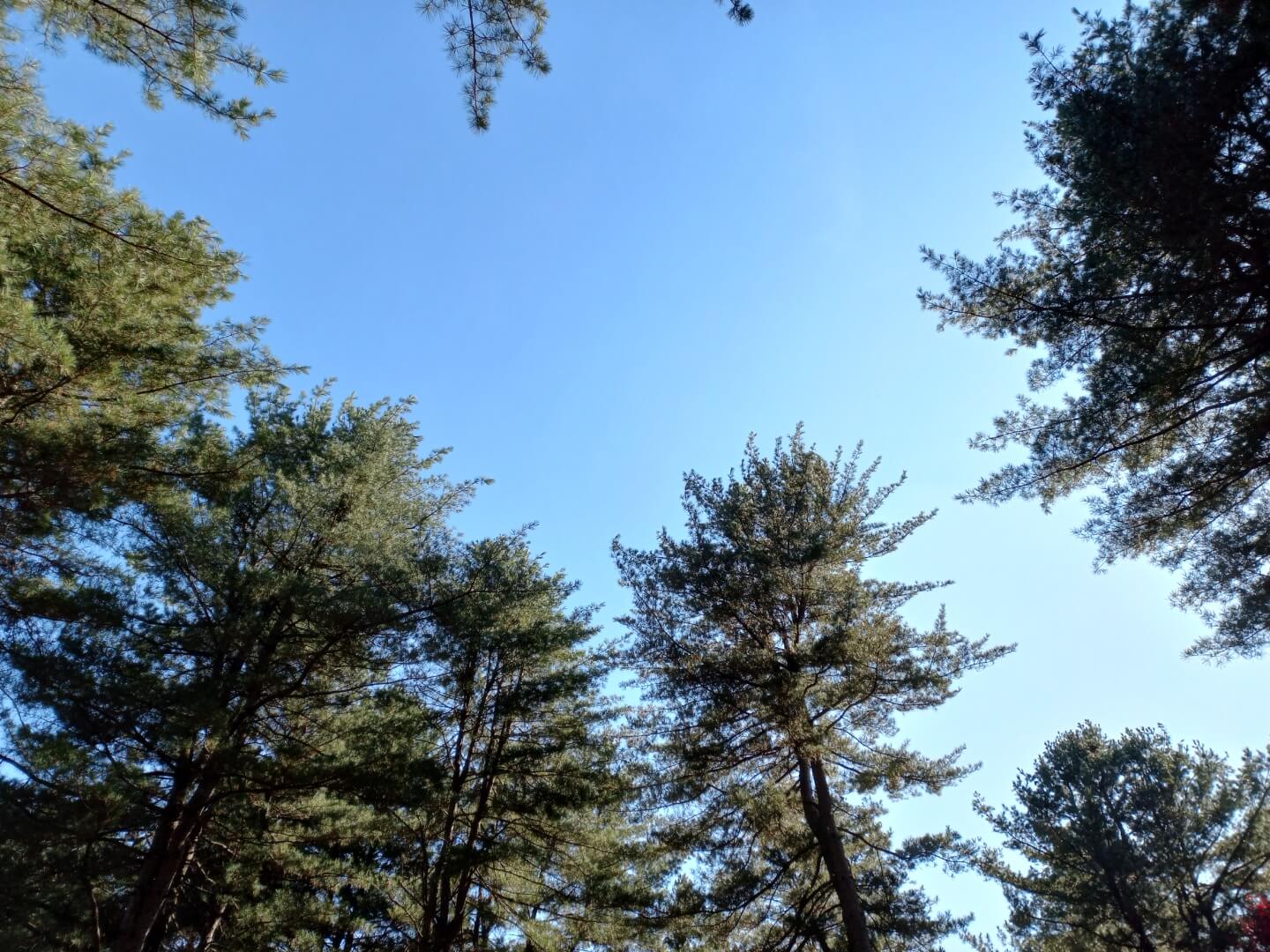 아침고요수목원 숙박