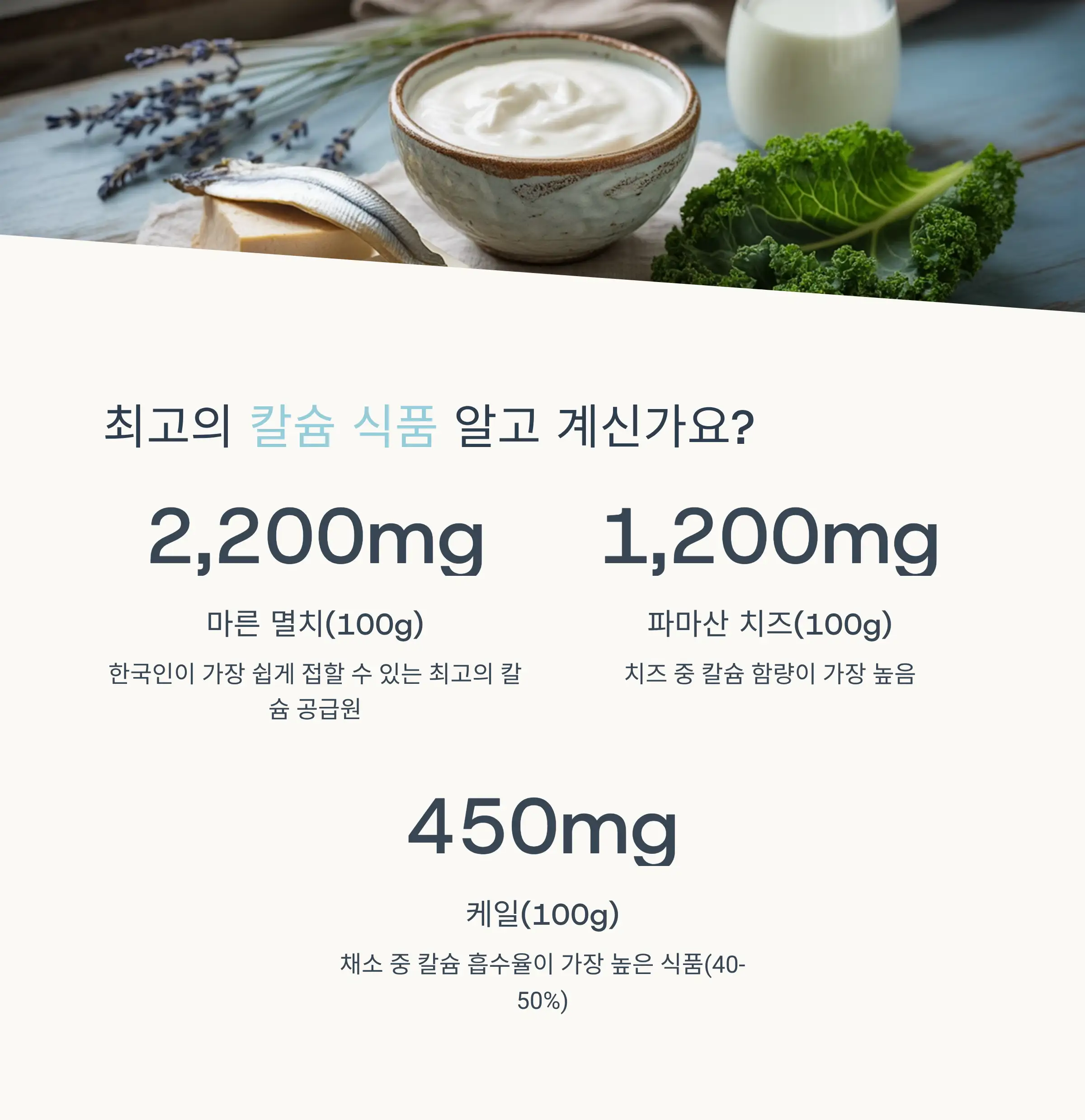 칼슘이 풍부한 최고의 식품들