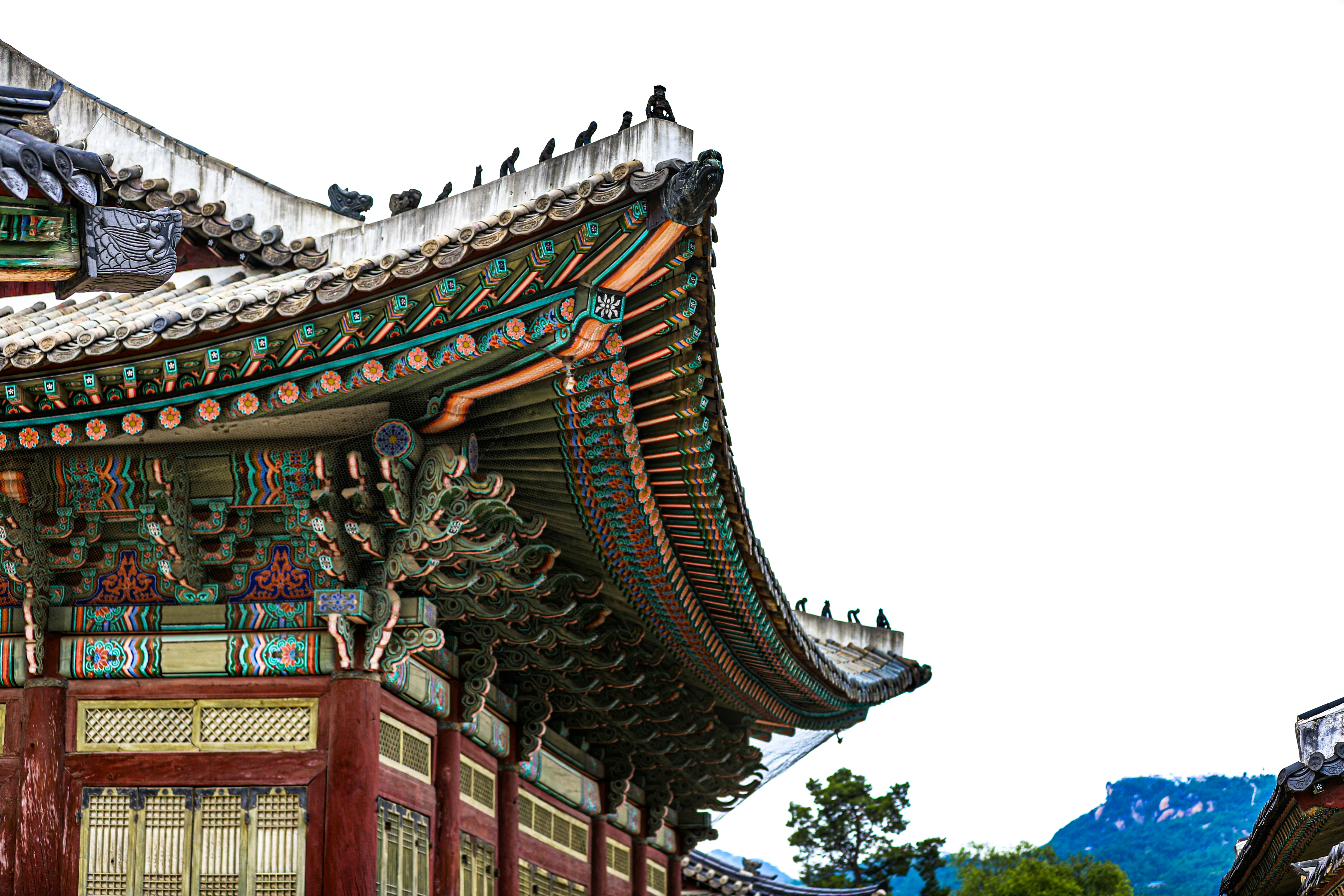 2024 창덕궁 달빛기행 사전예매하기