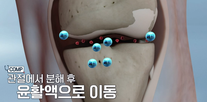 가자추출물 효능 