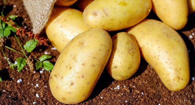 건강식품이라 착각하기 쉬운 음식 부작용 - 코코넛오일, 과일주스, 스포츠음료, 단백질쉐이크, 저지방샐러드드레싱, 가공치즈, 마가린, 저지방우유, 말린과일, 상황버섯, 등푸른생선, 감자