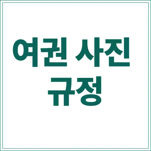 여권 사진 규정