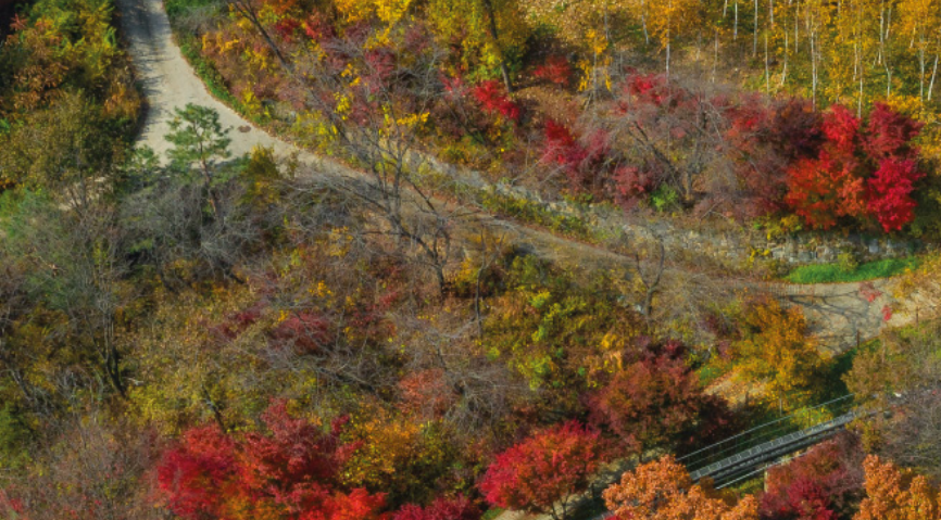 2024년 화담숲 단풍 절정 시기4