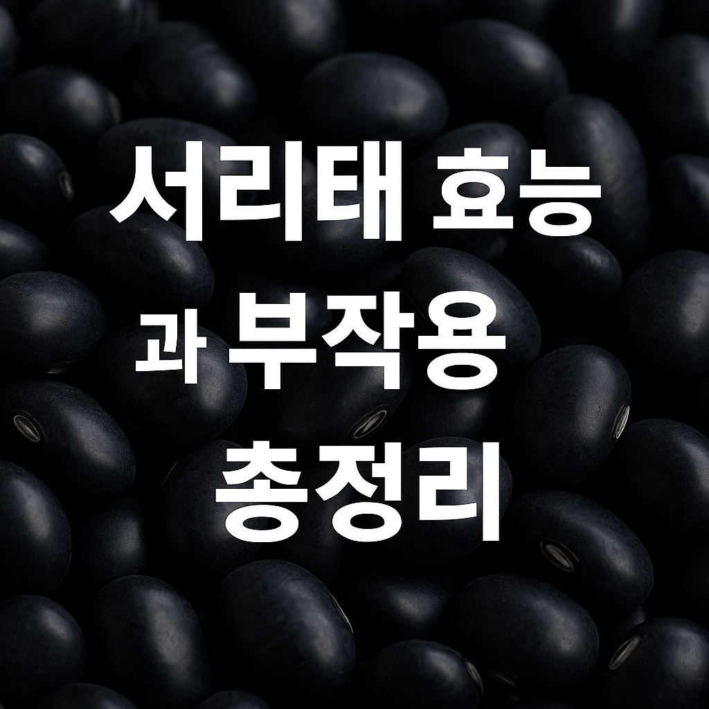 서리태 효능과 부작용 총정리