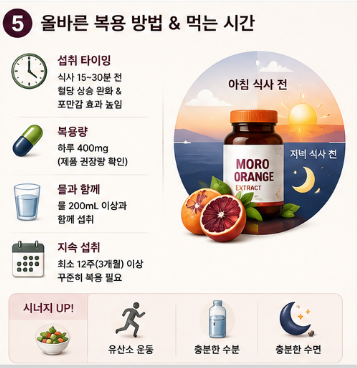 모로오렌지-추출물-효능-효과-내돈내산-추천-제품