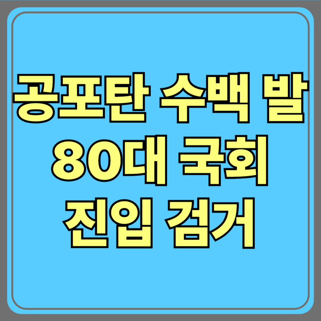 공포탄 수백 발 소지한 80대, 국회 진입 시도하다 검거!