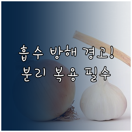 철분 칼슘 분리 복용 필수: 영양제 ..