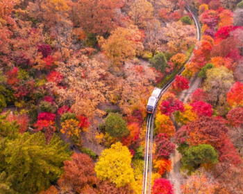 단풍 명소 화담숲_2