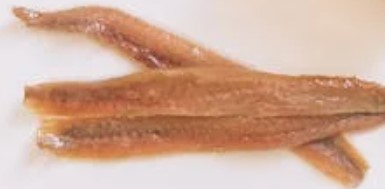 멸치