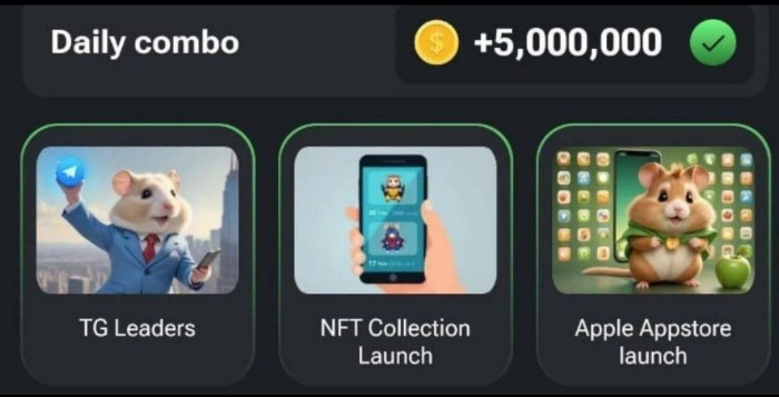 햄스터컴뱃 콤보 정답