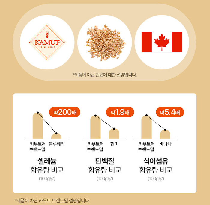 카무트 효소 인기제품 BEST3