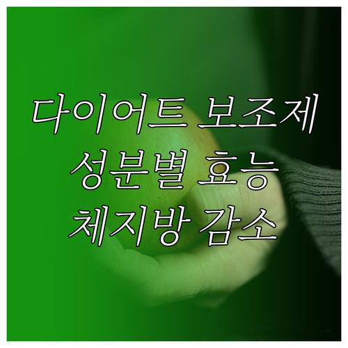 다이어트 보조제 성분별 효능 체지방 ..