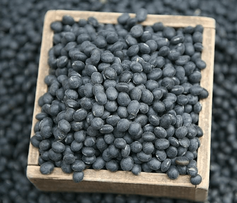 머리카락에 좋은 음식