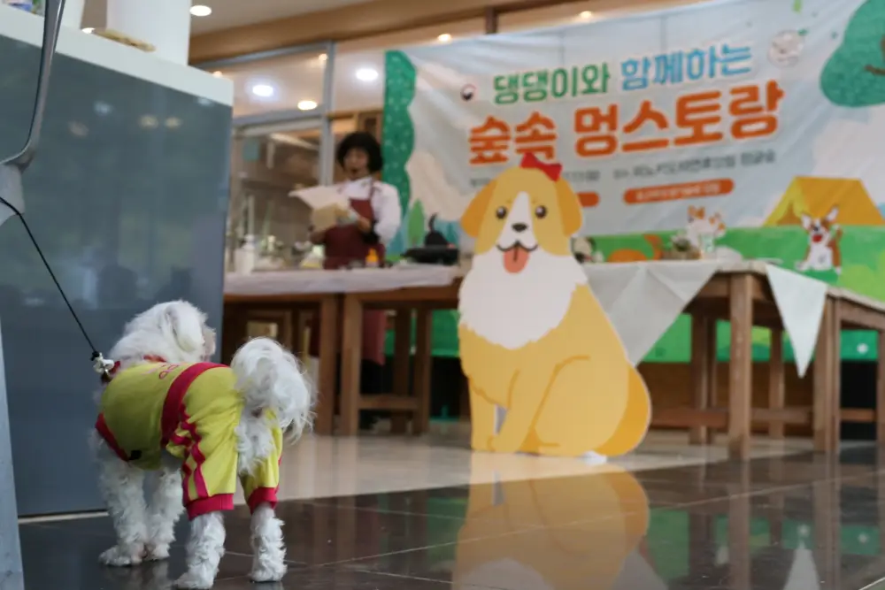 댕댕이와 함께하는 숲속 멍스토랑3