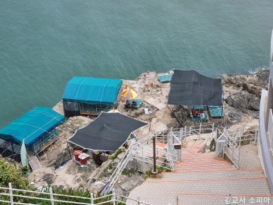 부산 태종대 폭염 여행 리얼후기🌊 여름 필수템 8가지 추천