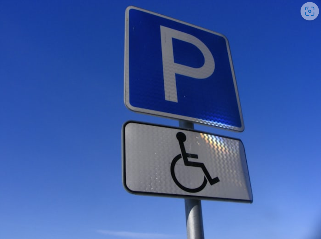 장애인 고용촉진 정책