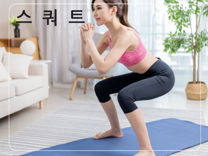 스쿼트