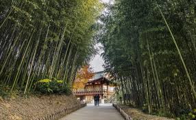 가을 국내 여행지 추천