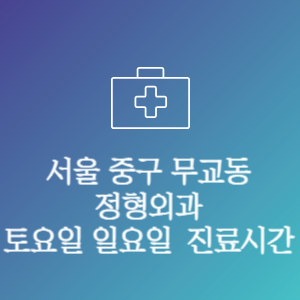 서울 중구 무교동 정형외과 주말 토요일 일요일 문여는 병원 진료시간