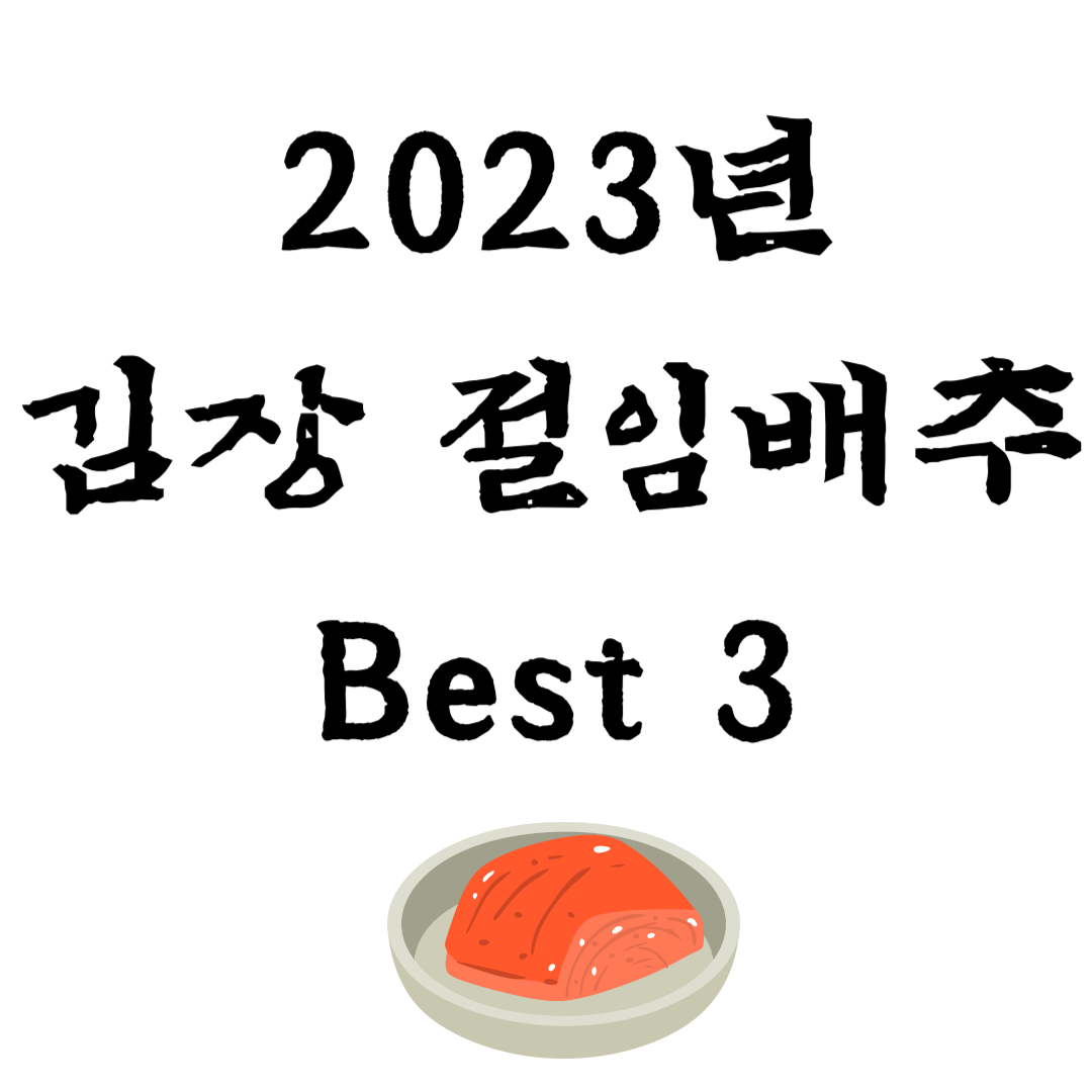 2023년 김장 절임배추