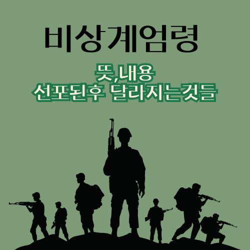 비상계엄령 뜻